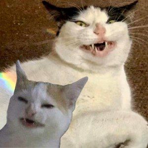 Meet your Posher, Kaitlyn